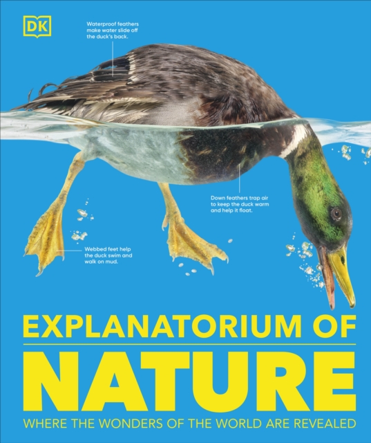 Obrázok Explanatorium of Nature