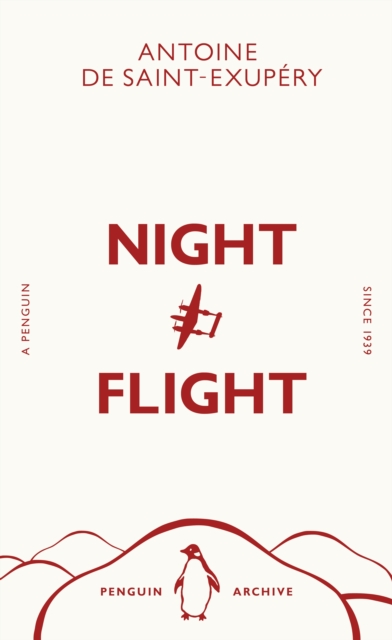 Obrázok Night Flight