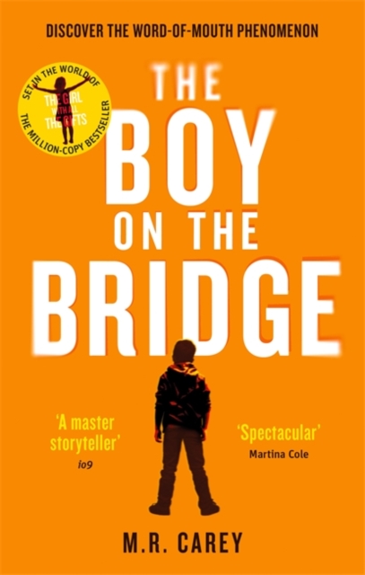 Obrázok The Boy on the Bridge