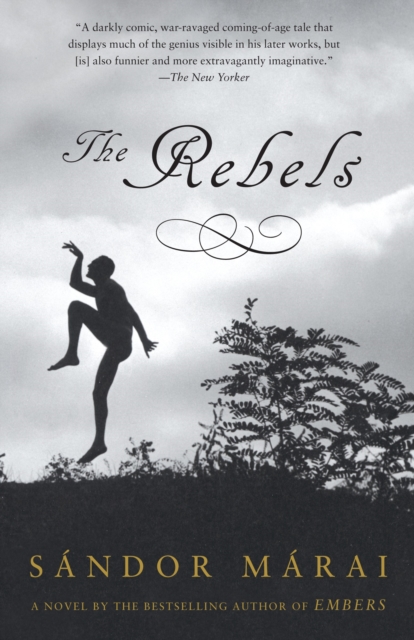 Obrázok Rebels