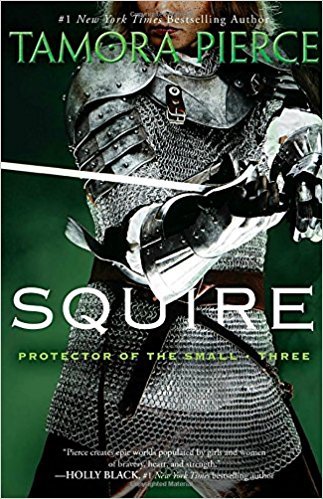 Obrázok Squire