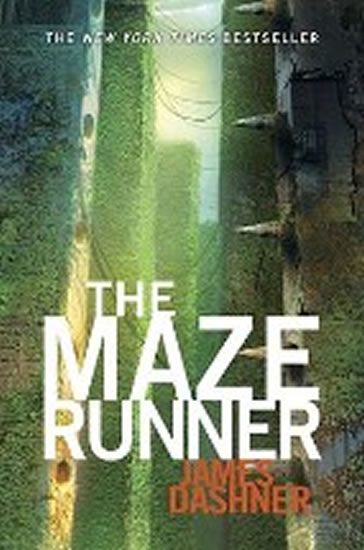 Obrázok The Maze Runner