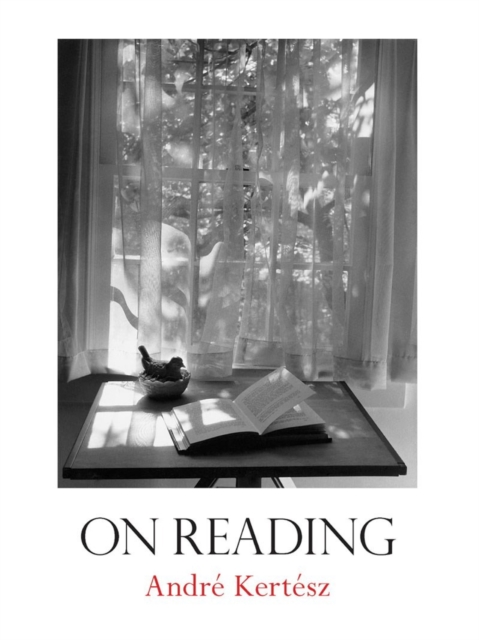 Obrázok On Reading