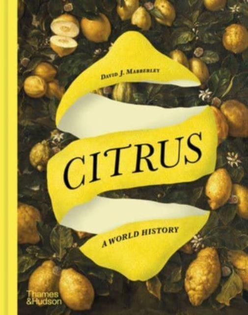 Obrázok Citrus