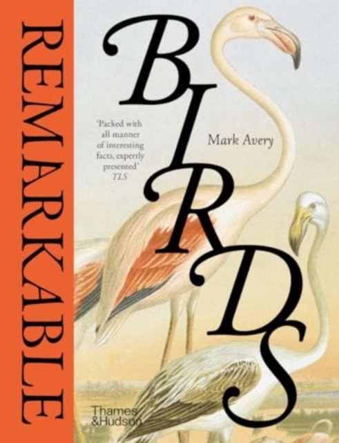 Obrázok Remarkable Birds