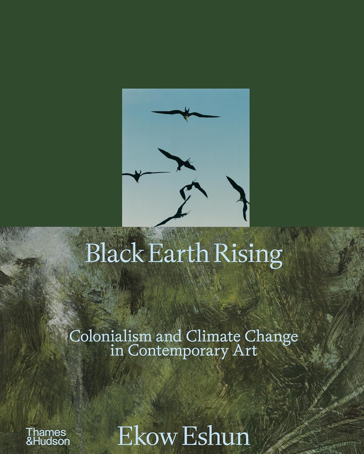 Obrázok Black Earth Rising
