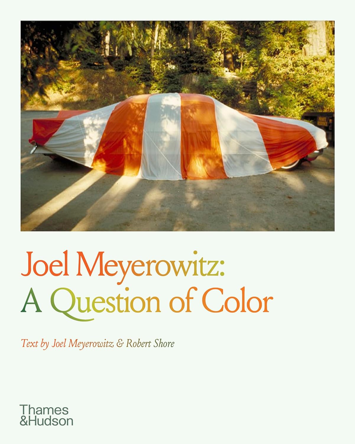 Obrázok Joel Meyerowitz: A Question of Colour