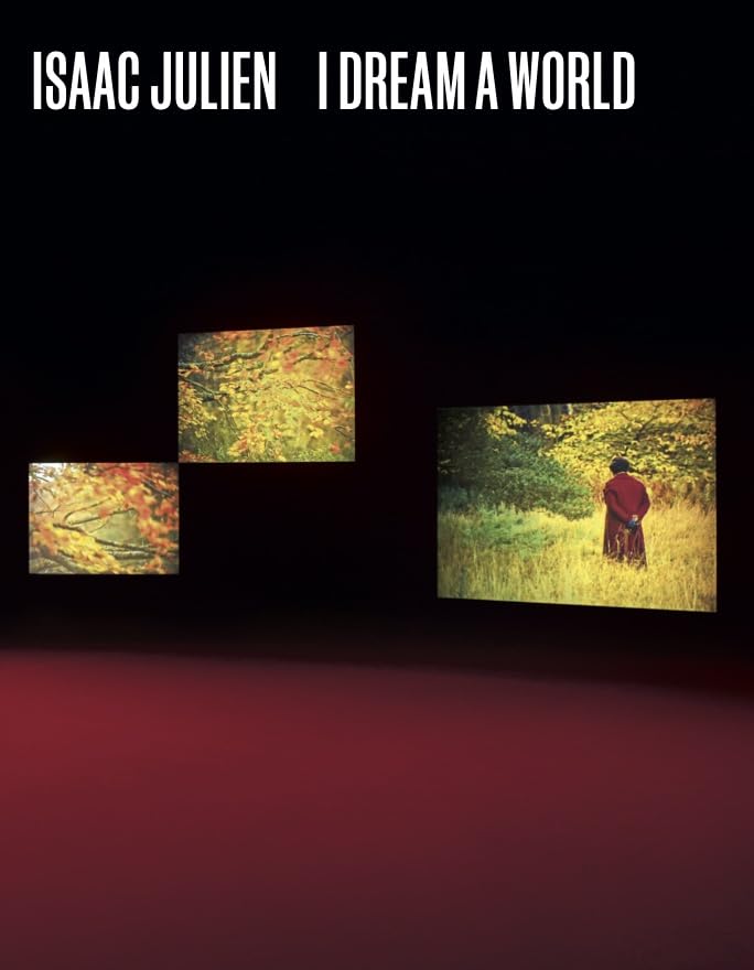 Obrázok Isaac Julien