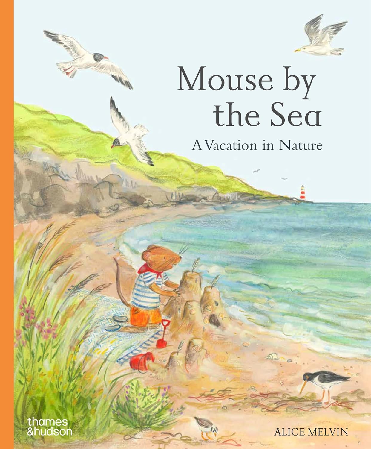 Obrázok Mouse by the Sea