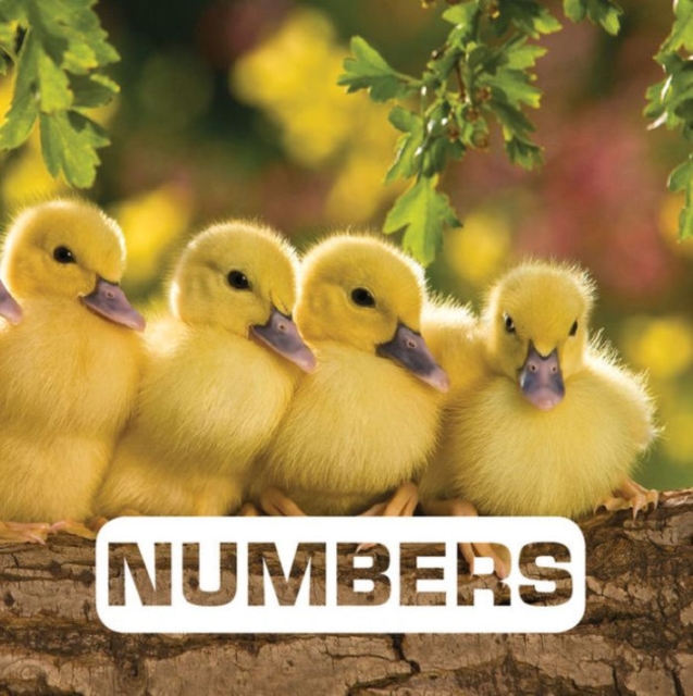 Obrázok Numbers