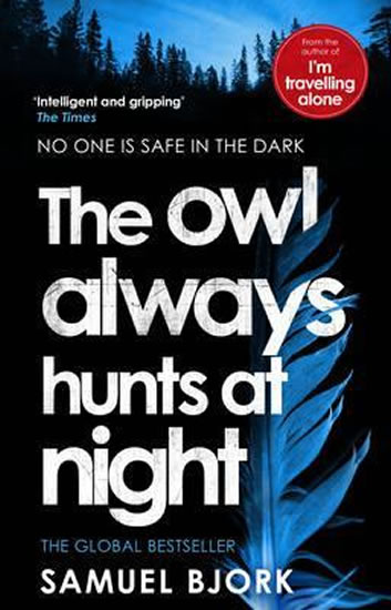 Obrázok The Owl Always Hunts at Night