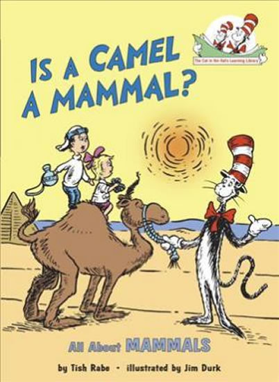 Obrázok Is a Camel a Mammal? All About Mammals