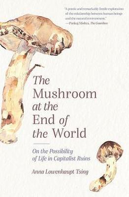 Obrázok Mushroom at the End of the World