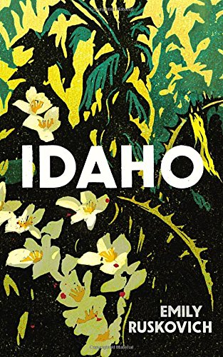 Obrázok Idaho