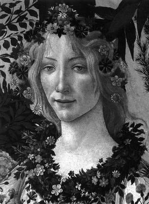 Obrázok Botticelli
