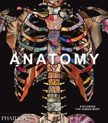 Obrázok Anatomy