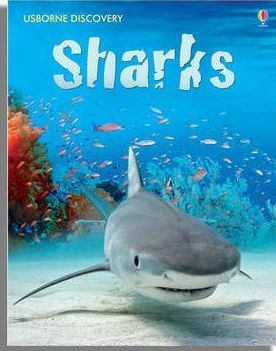 Obrázok Sharks