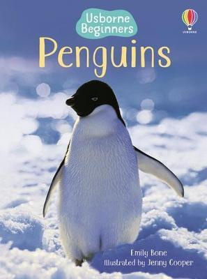 Obrázok Beginners Penguins