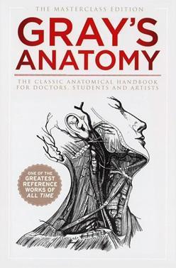 Obrázok Gray`s Anatomy