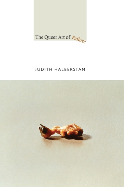 Obrázok The Queer Art of Failure