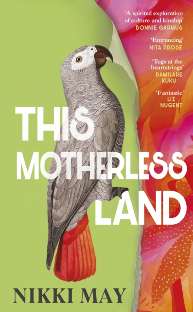 Obrázok This Motherless Land