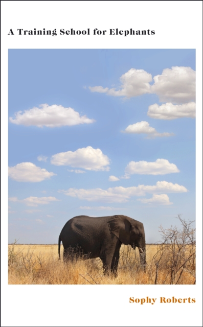 Obrázok A Training School for Elephants
