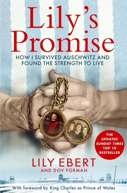 Obrázok Lily's Promise