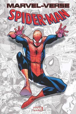Obrázok Marvel Verse Spiderman