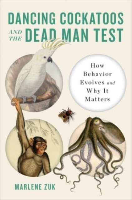 Obrázok Dancing Cockatoos and the Dead Man Test