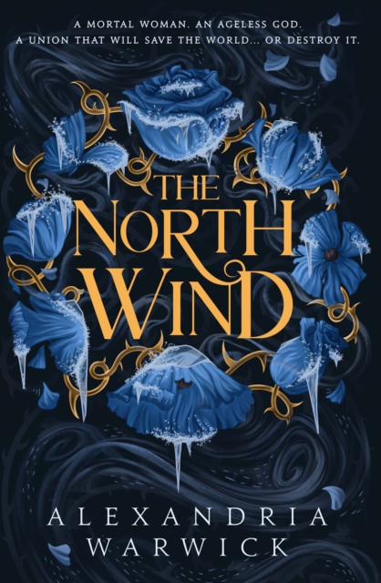 Obrázok The North Wind