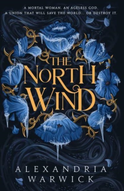 Obrázok The North Wind