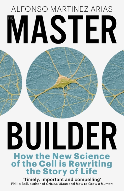 Obrázok The Master Builder