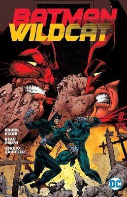 Obrázok Batman Wildcat