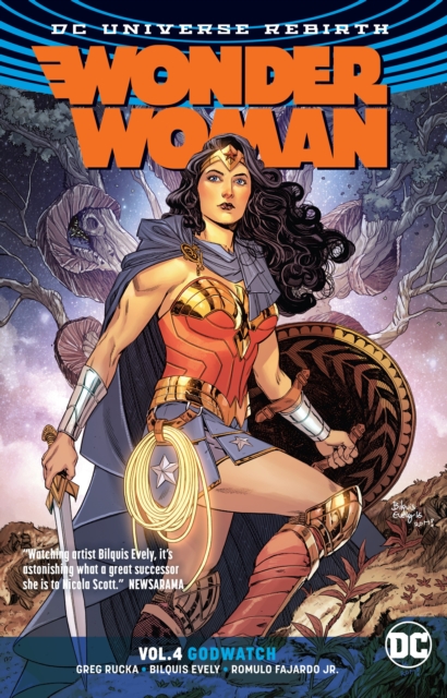 Obrázok Wonder Woman 4