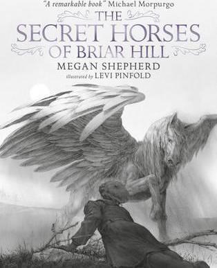 Obrázok The Secret Horses of Briar Hill