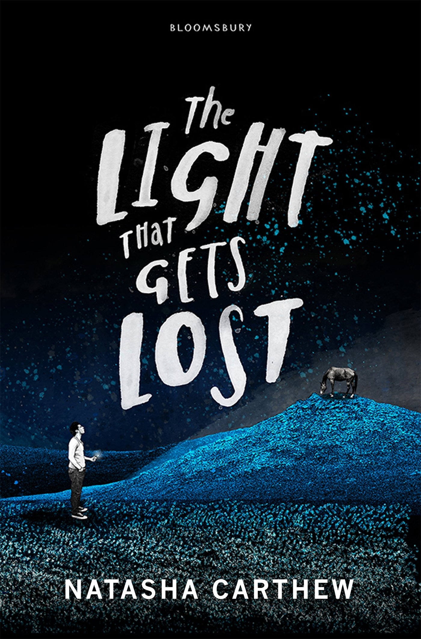 Obrázok The Light That Gets Lost