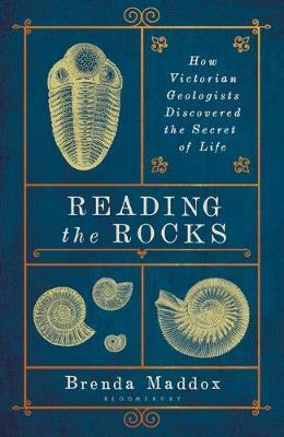 Obrázok Reading the Rocks