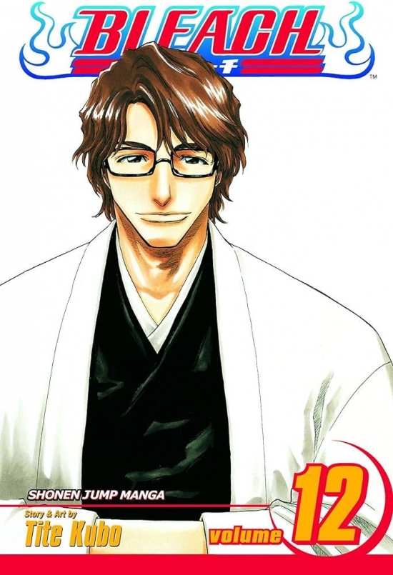 Obrázok Bleach 12