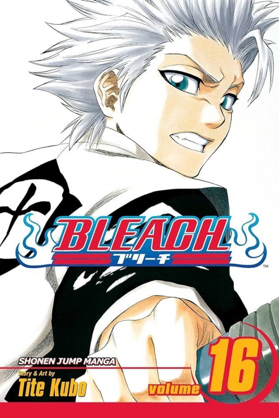 Obrázok Bleach 16