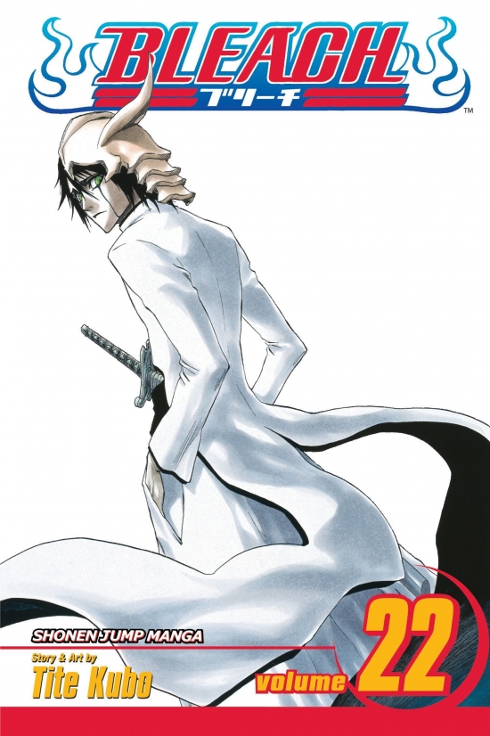 Obrázok Bleach 22