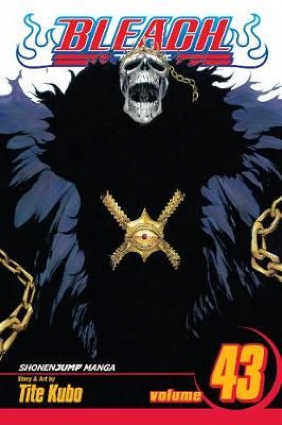 Obrázok Bleach 43