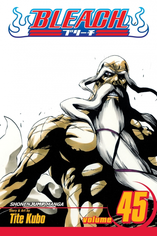 Obrázok Bleach 45