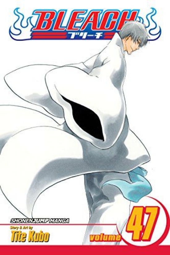 Obrázok Bleach 47