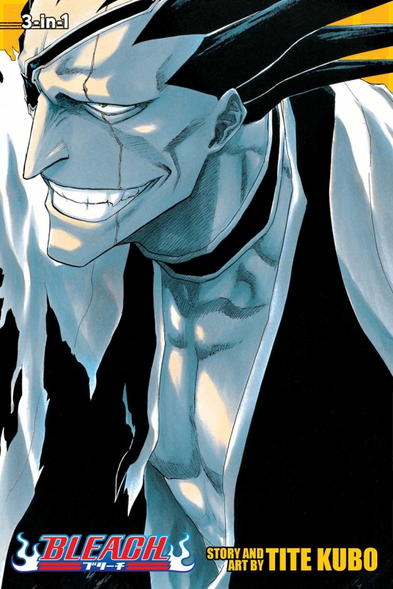 Obrázok Bleach 13, 14 & 15