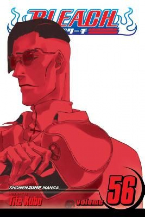 Obrázok Bleach 56