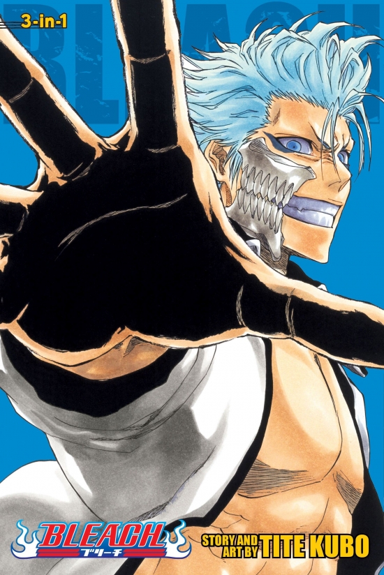 Obrázok Bleach 22, 23 & 24