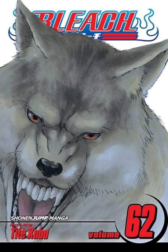 Obrázok Bleach 62