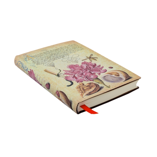 Obrázok Pink Carnation Mini Lined