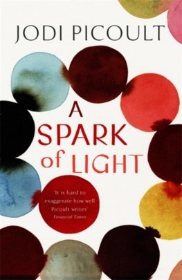 Obrázok A Spark of Light