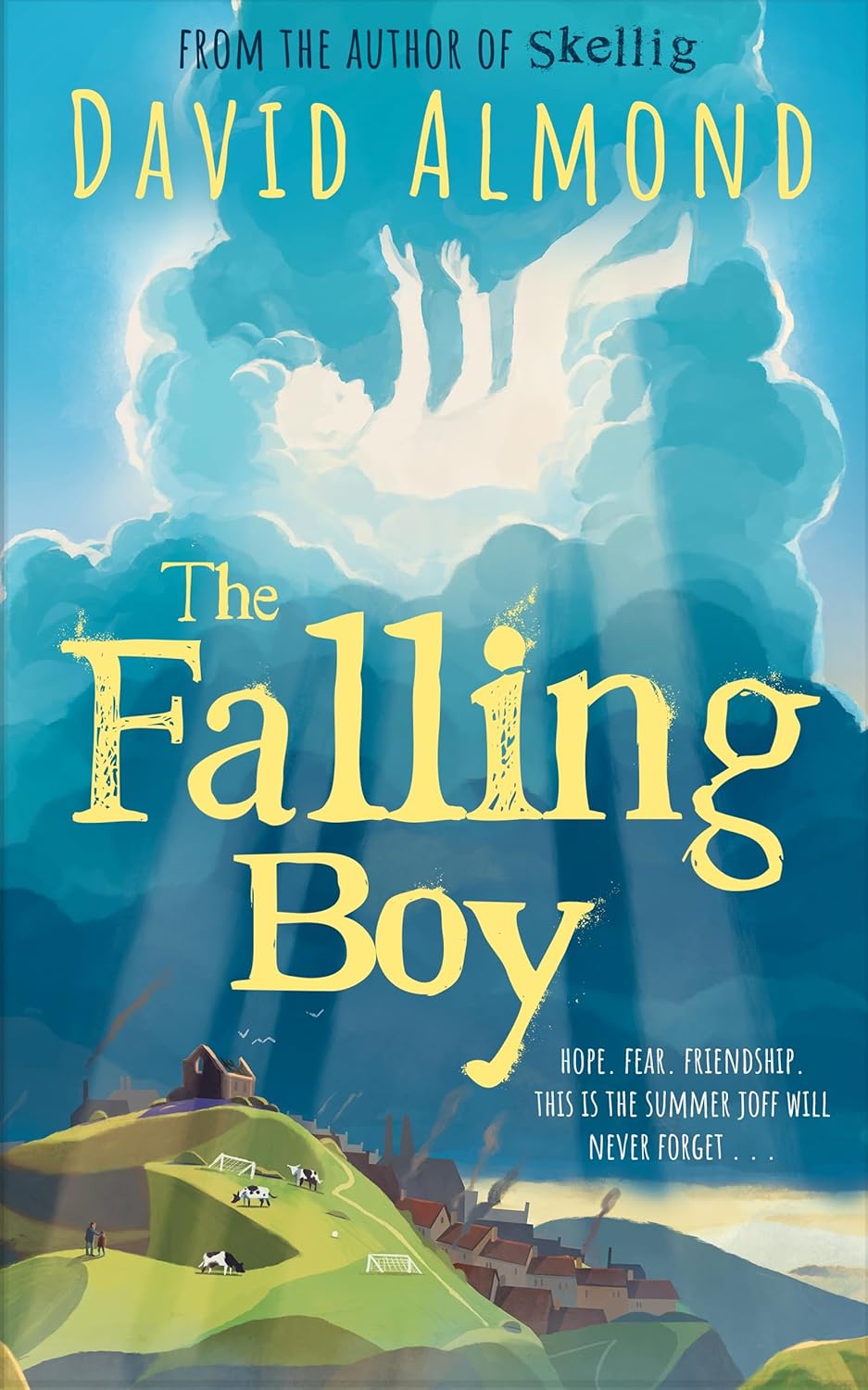 Obrázok The Falling Boy